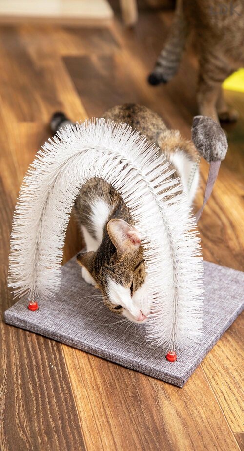抜け毛が取れ、ネコがリラックスできる! 猫のセルフグルーミンググッズおすすめ イメージ2