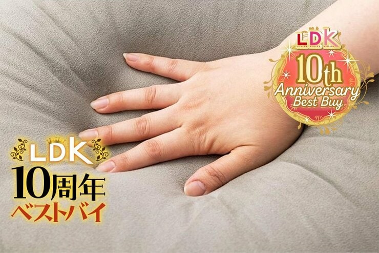 「抱きしめると幸せ」LDK編集部員が買ってよかった無印良品のクッションって？【LDK10周年ベストバイ】