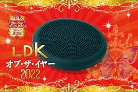 ゆる筋トレにおすすめ体幹クッションは「La-VIE」。程よい厚みが使いやすい【LDKベストバイ2022】