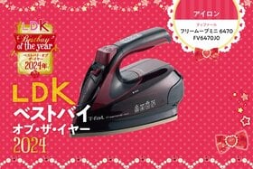 アイロンに求めること？「シワ伸ばし力一択」ならティファールのフリームーブミニでしょ【LDKベストバイ2024】