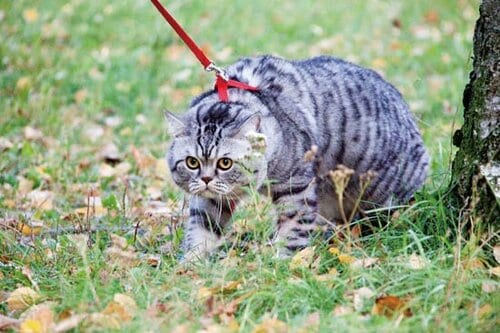 【極意2】信頼関係を築くには5つの基本ルールを厳守すること！ イメージ