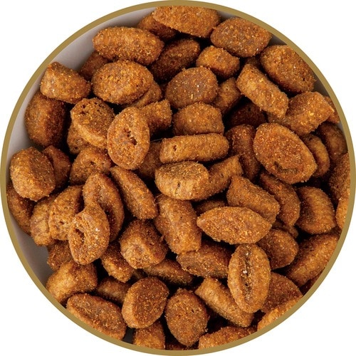 猫用ドライフードおすすめ ユニ・チャーム フィジカライフ 室内猫用 ひざ・関節の健康維持用 チキン入り イメージ2