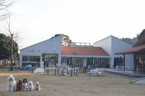 かわいいだけでなく性格も穏やかです イメージ3