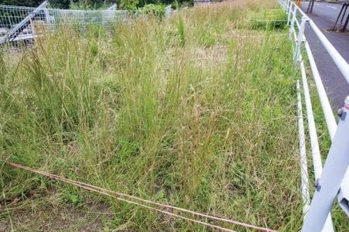 たった3分であっというまに除草完了 イメージ