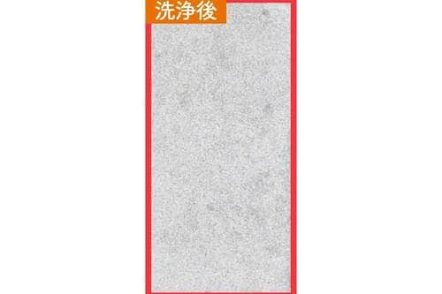 洗浄力:◎+ プチプラ洗顔料おすすめ イメージ