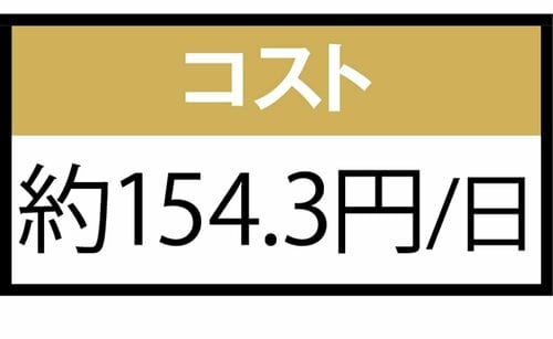 コスト：1日約154.3円で割高感あり コエンザイムQ10サプリおすすめ イメージ