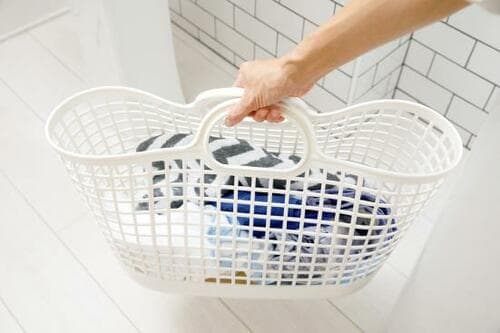 取っ手付きのTHE・シンプル 人気フレディ レックのバスケット イメージ