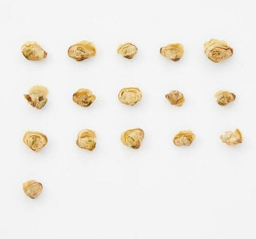 14位: マルコメ「お徳用 料亭の味 しじみみそ汁」|シンプルで毎日でも飽きない味 イメージ3
