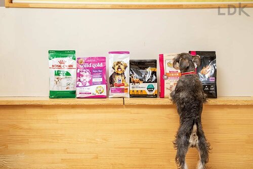 小型犬用フード ドッグフードおすすめ イメージ