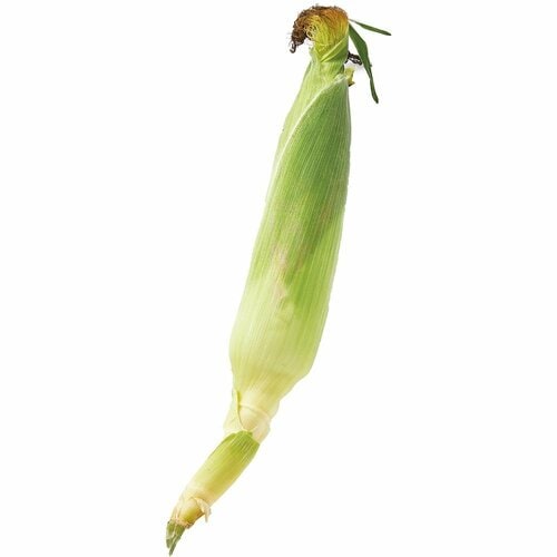 食欲がないときは消化しやすいものを イメージ