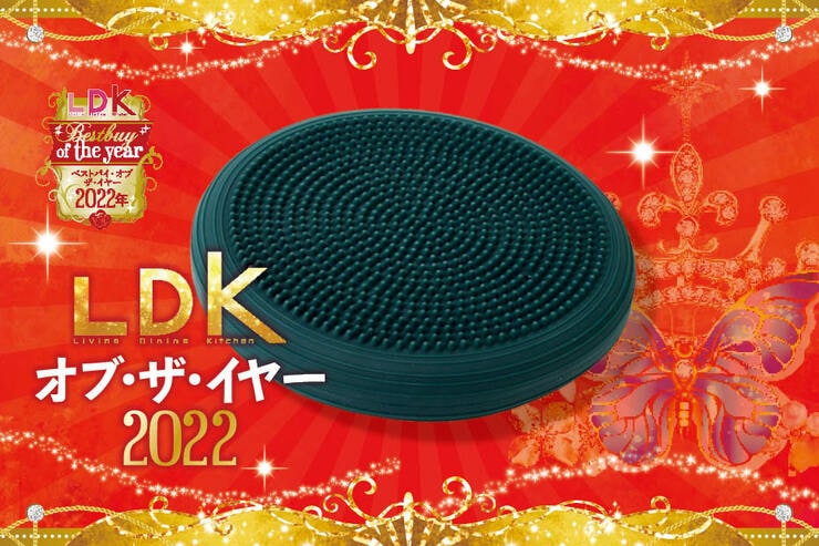 ゆる筋トレにおすすめ体幹クッションは「La-VIE」。程よい厚みが使いやすい【LDKベストバイ2022】