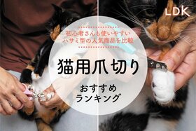 猫用爪切りのおすすめランキング。初心者さんも使いやすいハサミ型の人気製品を比較