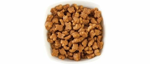 9位: 【56点】高価格で防腐剤入は残念子ネコの抵抗力向上はうれしい イメージ2