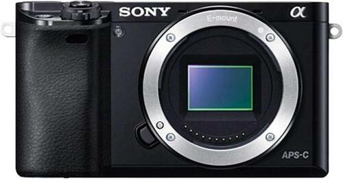 オートフォーカスの素早さは一級品! ソニー「α6100」 イメージ5