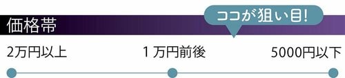 選び方3:ウイングの有無は好みでOK イメージ