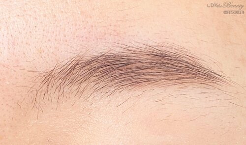 仕上がり イメージ