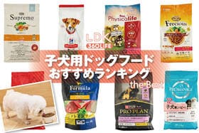 子犬用ドッグフードのおすすめランキング。ペット栄養管理士と人気商品を比較