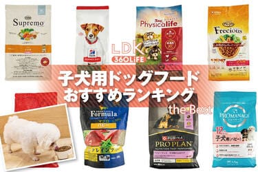 子犬用ドッグフードまとめ売り 2026年】子犬用ドッグフードのおすすめランキング8選。ペット栄養管理