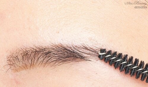 1：スクリューブラシでとかす イメージ