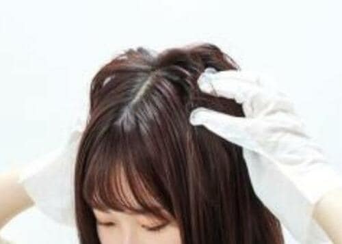 シャンプーみたいにふき取れる 本田洋行「ドライシャンプー 手袋タイプ」 イメージ4