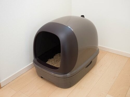 【Q2】トイレの数は1つで問題ないの？ イメージ