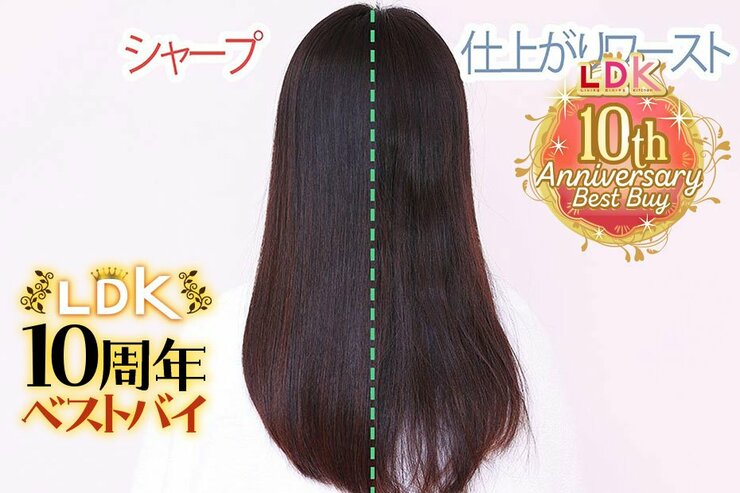 ドライヤーは高級じゃなくてもイイ！ LDKが見つけた1万円台でうるツヤ髪になれるおすすめは？