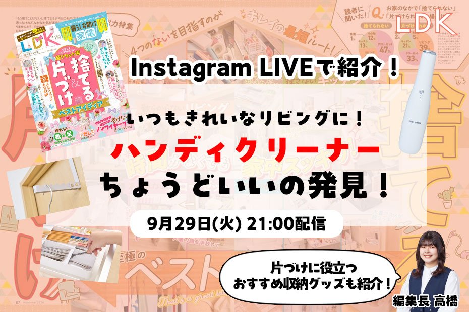【きれいな家にはある】ハンディクリーナーって使ってる？ ながら掃除にぴったりのおすすめを紹介【LDKがインライで紹介】 | コラム | 360LiFE(サンロクマル)