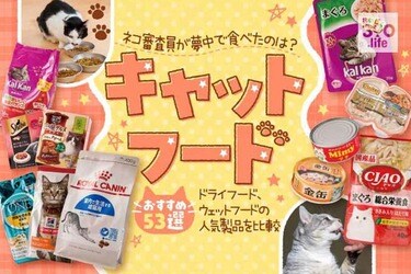 21年 キャットフードのおすすめランキング53選 獣医師と猫が人気商品を徹底比較 360life サンロクマル