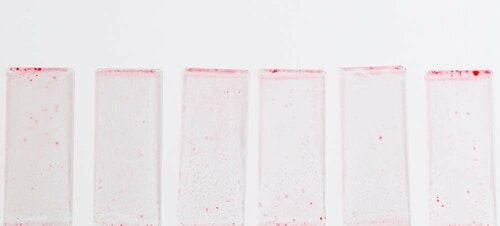 テスト結果 食器用洗剤おすすめ イメージ