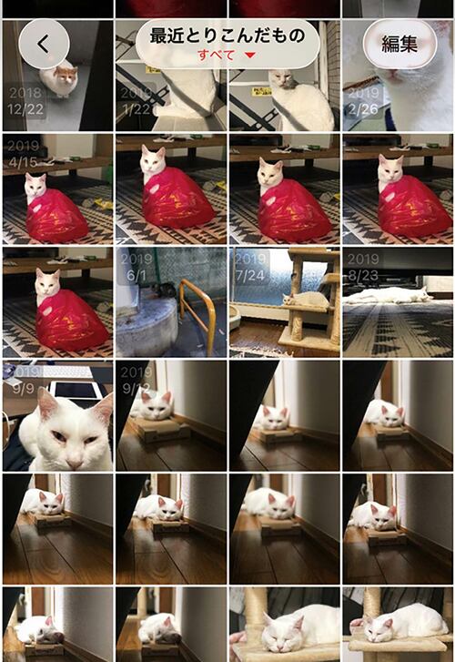 紙焼き写真のアルバムを代替するデジタル時代版のアルバムです！ バッファロー「おもいでばこ」おすすめ イメージ2