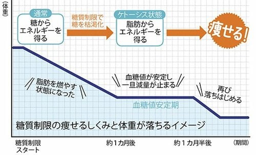 【糖質制限の基本①】糖質って? 制限すると痩せるのはなぜ? イメージ2