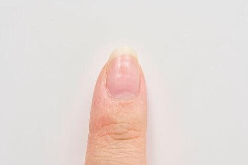 甘皮の役割は? キューティクルニッパーおすすめ イメージ