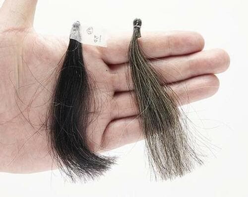 メンズ向けカラートリートメント検証1