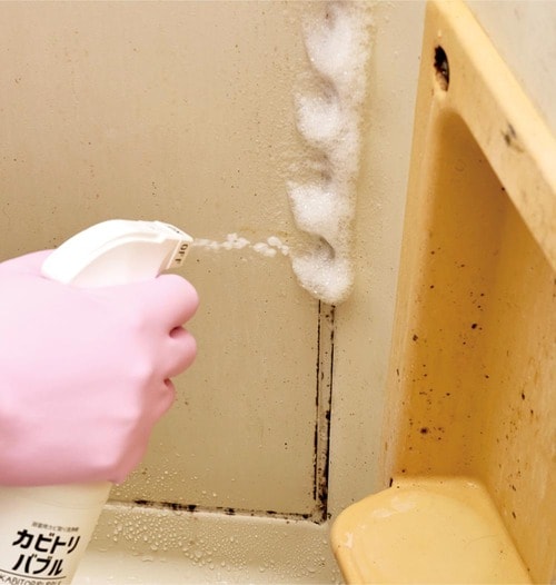 リアルのカビでテスト カビ取りスプレーおすすめ イメージ