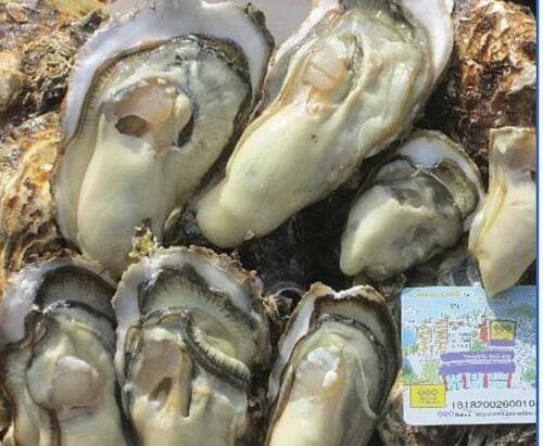 訳アリの理由は？ イメージ2