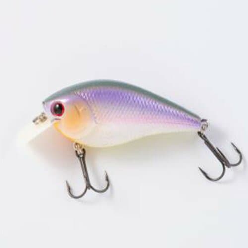 クランクベイトおすすめ ラッキークラフト ルアー LC MTO 1.5 セクシー利根シャッド ボーン イメージ1