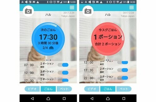 (高いけど)問答無用のベスト! エサやり見守り声かけOKです! イメージ