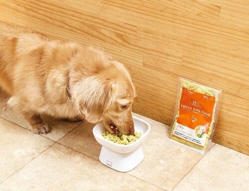 愛犬が喜ぶ冷凍ドッグフードを選びたい! 冷凍ドッグフードおすすめ イメージ