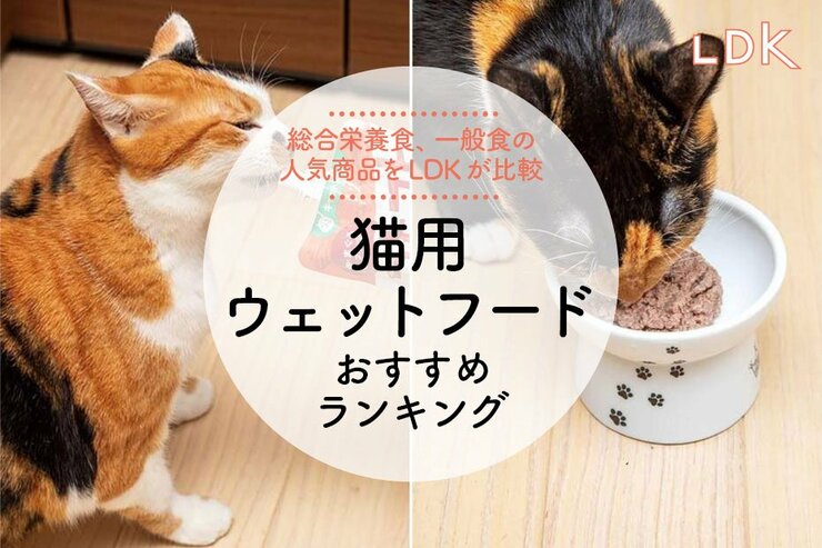 猫用ウェットフードのおすすめランキング。ペット栄養管理士が人気商品を徹底比較