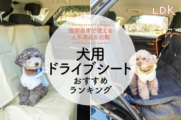 犬用ドライブシートのおすすめランキング。LDKが後部座席で使える人気商品を比較