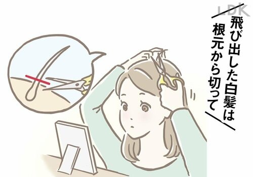 白髪を見つけたら抜いてしまってOK？ 白髪隠しおすすめ イメージ