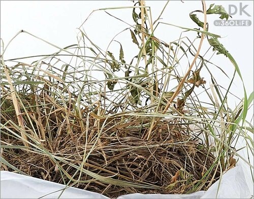 ステップ3:雑草が枯れたら土になるまで放置でOK! 除草剤おすすめ イメージ