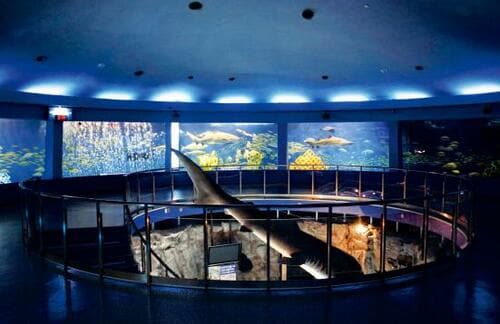 京急油壺マリンパーク 基本情報