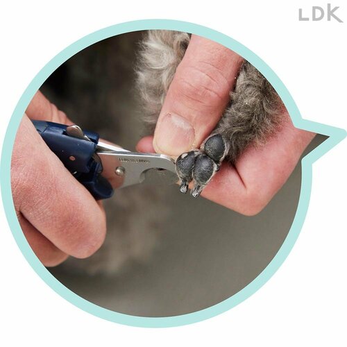 バネ付きで開閉はしやすい 犬用爪切りおすすめ イメージ