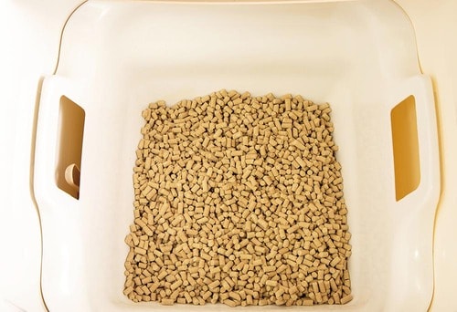 掃除は意外としやすい 猫用トイレおすすめ イメージ