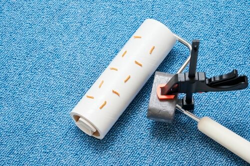 カーペット用の強粘着でゴミを取り切る 粘着クリーナーおすすめ イメージ