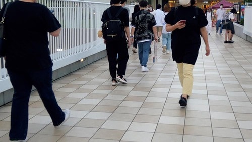 【手ブレ補正:不合格】 Vlogカメラおすすめ イメージ