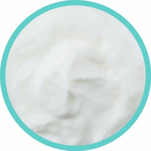 ヨーグルトおすすめ ダノンジャパン オイコス 脂肪0 プレーン 砂糖不使用 イメージ2