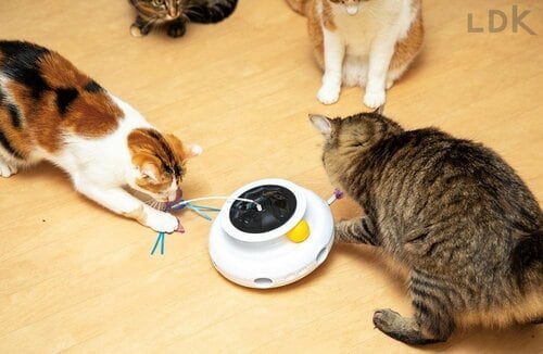 4つの仕掛けでネコを刺激！飛びつかずにはいられない 猫用おもちゃおすすめ イメージ2