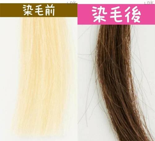 ホーユー「シエロ ムースカラー/6」で100%白髪を染毛した結果